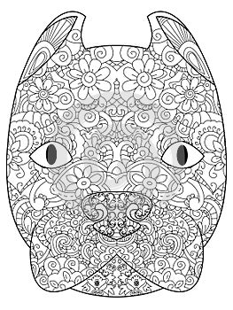 Good American Pit Bull Terrier head coloring vector for adults