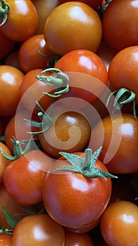 A good amount of red cherry tomatoes freshly picked from the garden