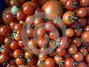 A good amount of red cherry tomatoes freshly picked from the garden