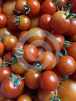 A good amount of red cherry tomatoes freshly picked from the garden