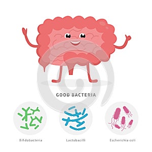 Good bacteria concept illustration, healthy intestine cartoon character isolated on white background. Gut microflora photo