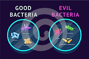 Good and bad bacteria. Lactobacillus and probiotic. Microbe germs in gut. Microbiome magnification research. Lab