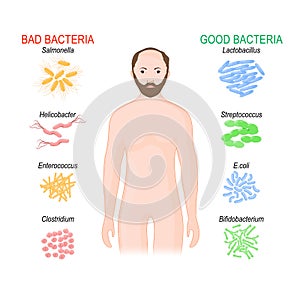 Good and bad bacteria. Probiotics. gut flora