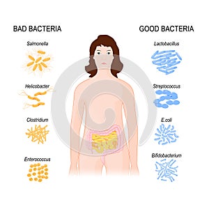 Good and Bad Bacteria. woman with intestines and Gut flora