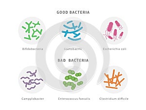 Good and bad bacterial flora icon set isolated on white background. Gut dysbiosis concept medical illustration with