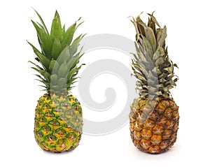 Good and bad piece of pinapple fruit