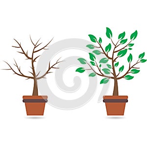 Good and bad tree, vector illustration