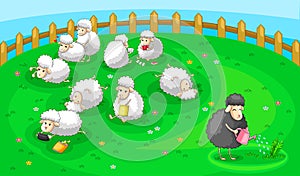 Good black sheep in spoil white sheep herd