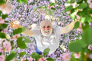 Good-looking gardener. Very old man portrait. thinking about youth in park or garden. happy man under spring sakura