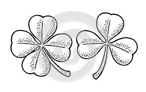 Good luck four and three leaf clover. Vintage vector engraving