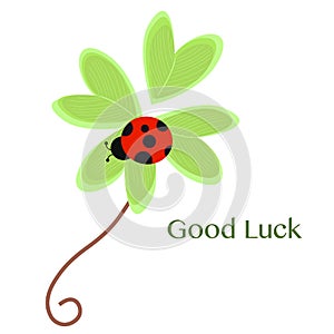 Good Luck greeting card with clover and ladybird vector