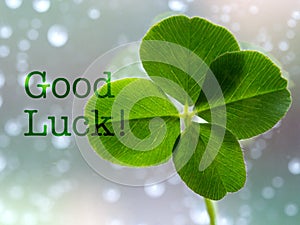 Good Luck - inspirational motivation quote