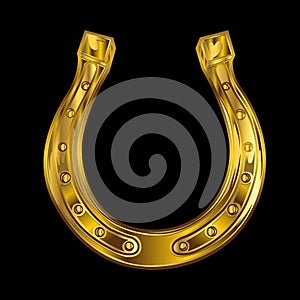 Good Luck Lucky Horseshoe Gold Vector illustration 8