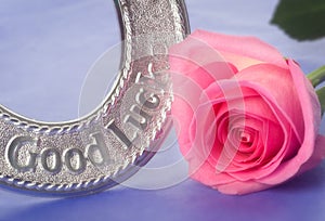 Good luck wedding horseshoe and pink rose