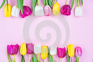 Good march mood concept. Top above high angle close up view photo of beautiful tulips arranged in two rows with blank space in