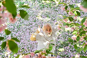 Good mood. Happy old age. Mental health. Happy man under sakura tree looking upwards. Positive emotions. Cheerful