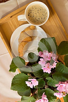 Good morning - Breakfast with coffee and croissant on a wooden tray and flowers violet pink