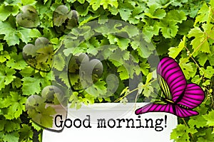 Good morning card illustration foto photo