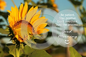 Good Morning Greetings. Morning inspirational motivational quote - Be patient. Stay positive. Do not overthink. Trust the process