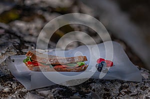 Good morning, have a picnic outdoors: healthy, delicious breakfast to enjoy. Smoked Salmon Bread