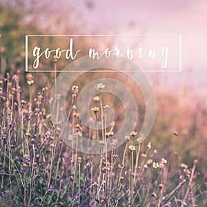 Good morning message on nature flower background greetings card