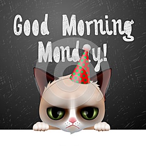 Good morning Monday, with cute grumpy cat