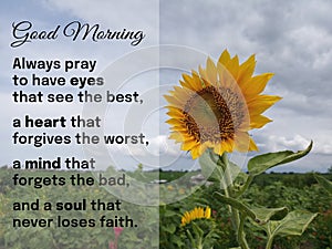 Good Morning. Always pray to have eyes that see the best, a heart forgives the worst, mind forget the bad, soul never loses faith.