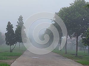 Good morning in the village, fog, mist, mountain, tree, winter