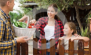 Good neighbors communicate while standing by fence between houses