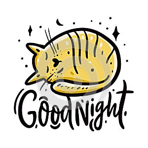 Good night. Cat cartoon style. Hand drawn vector illustration. Sleeping kitten with closed eyes. Sweet dreams.