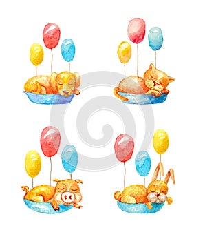 Good night. Ð¡ollection, set domestic yellow animals sleep in blue baskets, above them are three balls