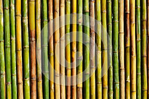 Good quality natural bamboo texture