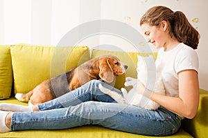 Good relationship between the girl and her pets