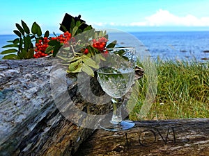 Goodbye Romantic Summer Hello Autumn  August Season Wild tree Autumn leaves and stone on  beach sand red Rowanberry  glass  fres