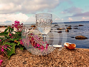 Goodbye Romantic Summer Hello Autumn  August Season Wild tree Autumn leaves and stone on  beach sand red Rowanberry  glass  fresh