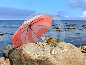 Goodbye Romantic Summer Hello Autumn  August Season Wild tree Autumn leaves and stone on  beach sand red Rowanberry  glass  fresh