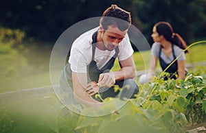 Goodness is green. Shot of a young man working in a garden with his wife in the background.