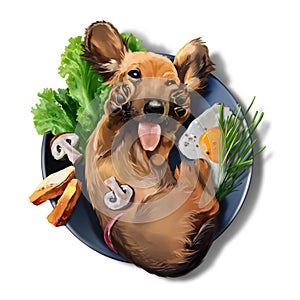A goofy dachshund puppy lies in a plate of food