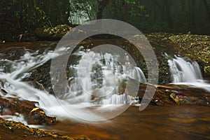 Goomoolahra creek in Springbrook