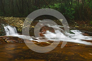 Goomoolahra creek in Springbrook