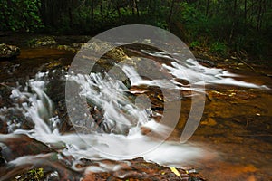 Goomoolahra creek in Springbrook