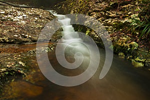 Goomoolahra creek in Springbrook