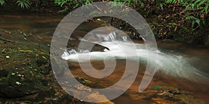 Goomoolahra creek in Springbrook