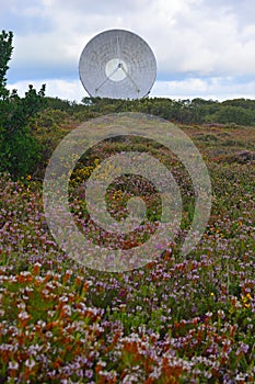 Massive satellite communications dish at Goonhilly, Cornwall, UK