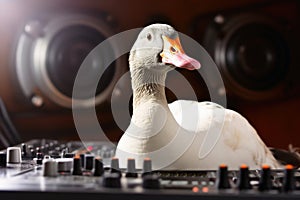 A goose as a Discjockey created with generative AI technology