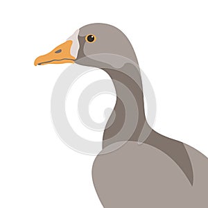 Goose bird vector illustration flat style profile