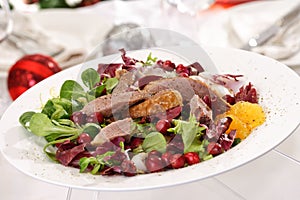 Goose breast on lamb's lettuce, cranberries, orange filets
