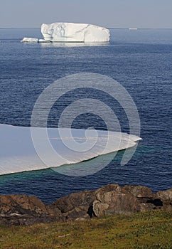 Goose Cove Icebergs