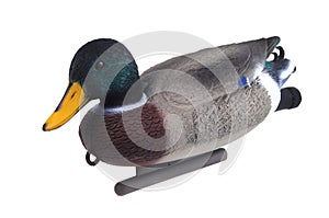 Goose decoy isolated