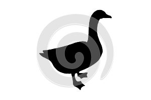 Goose or Duck bird, vector black color silhouette illustration for icon, logo, poster, banner Abstract Domestic Poultry Bird,